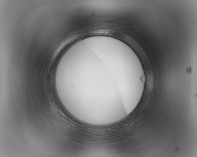 X0000111510731200908251112