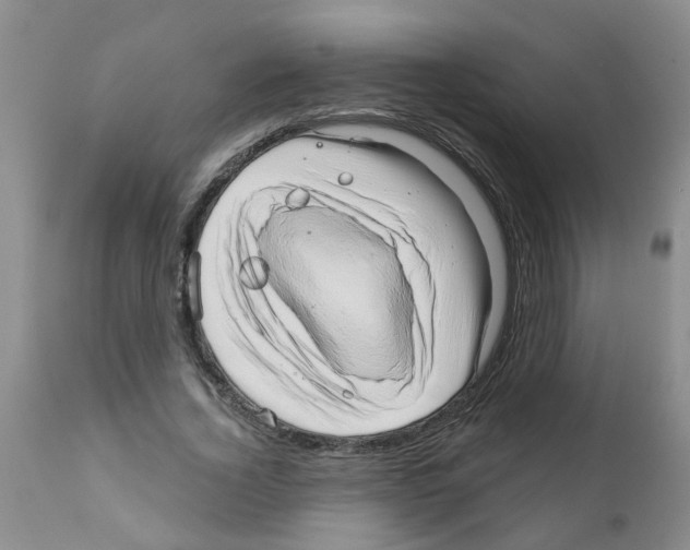 X0000111510732200908251112