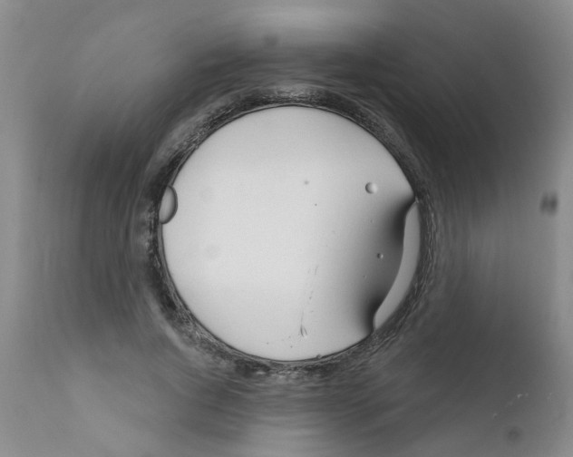X0000111510736200908251112