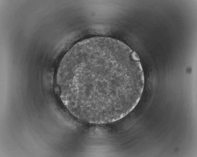 X0000111510739200908251112