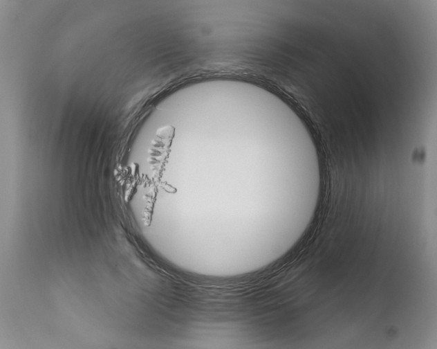 X0000111510740200908251112
