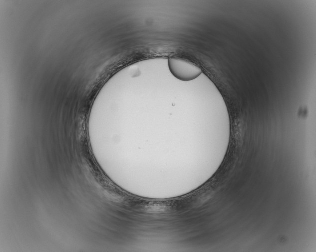 X0000111510741200908251112