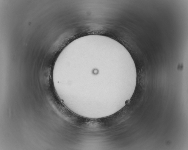X0000111510742200908251112