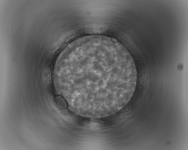 X0000111510743200908251112
