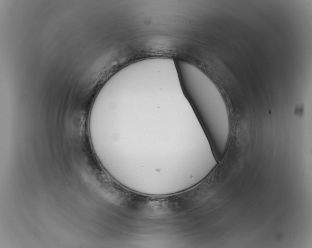 X0000111510744200908251112