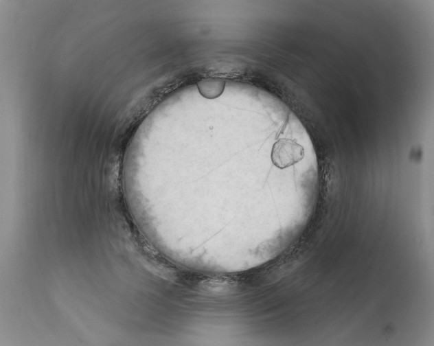 X0000111510745200908251112