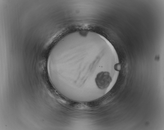 X0000111510747200908251112
