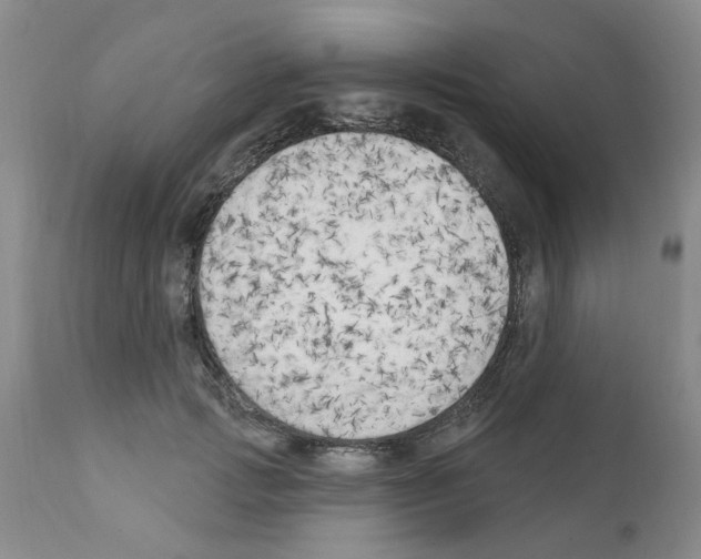 X0000111510749200908251112
