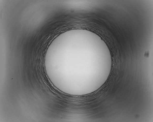 X0000111510752200908251112