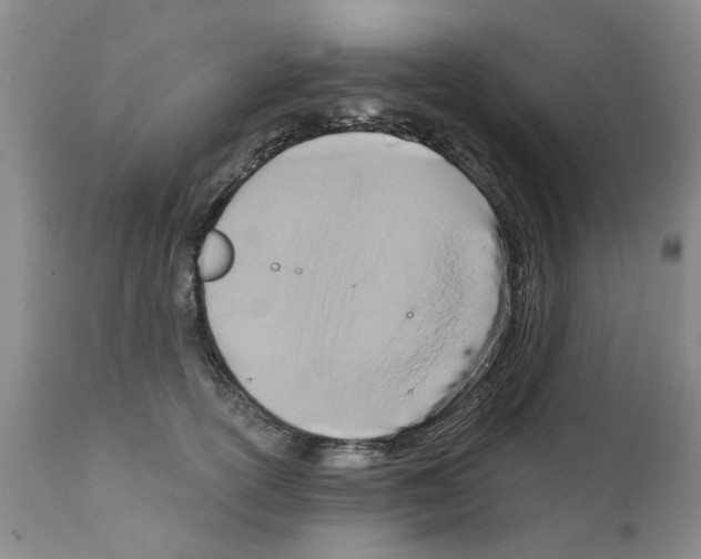 X0000111510754200908251112