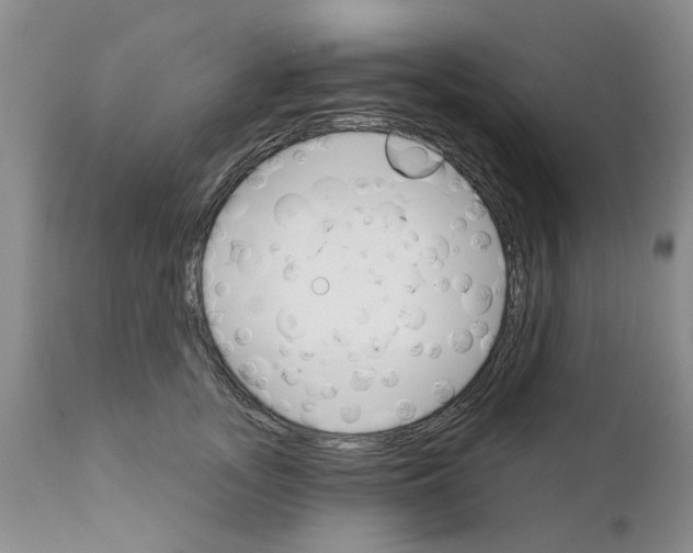 X0000111510755200908251112