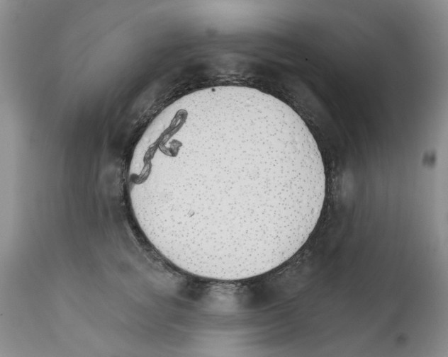X0000111510757200908251112