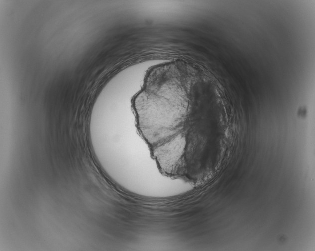 X0000111510758200908251112