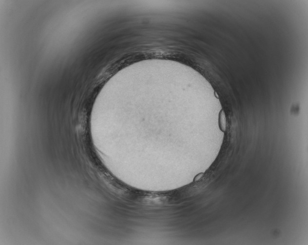 X0000111510760200908251113