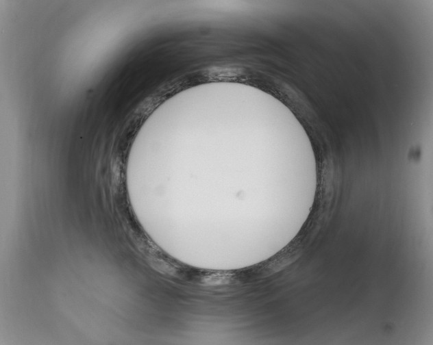 X0000111510761200908251113