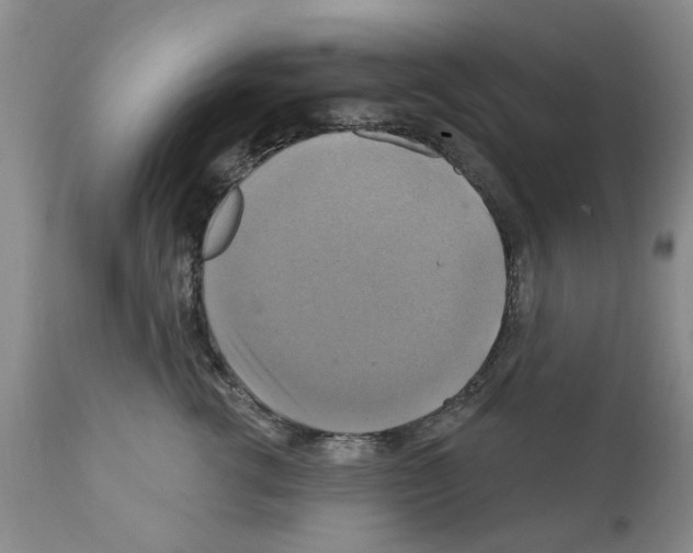 X0000111510762200908251113