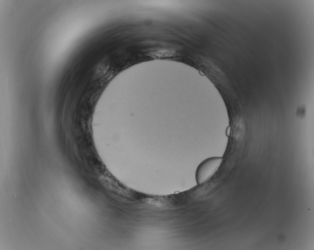 X0000111510763200908251113