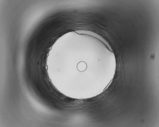 X0000111510764200908251113