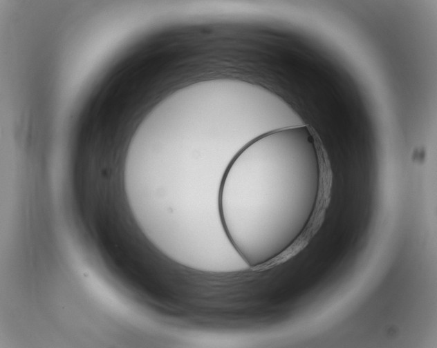 X0000111510766200908251113