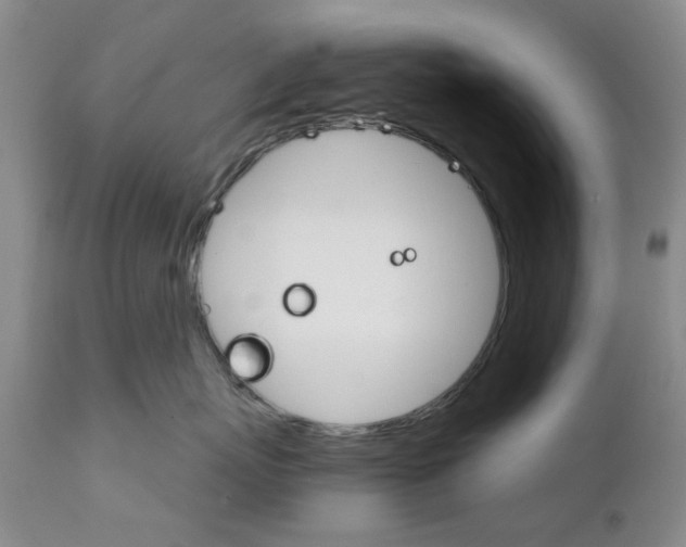 X0000111510767200908251113