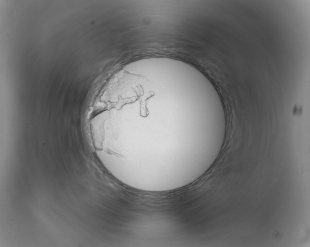 X0000111510768200908251113