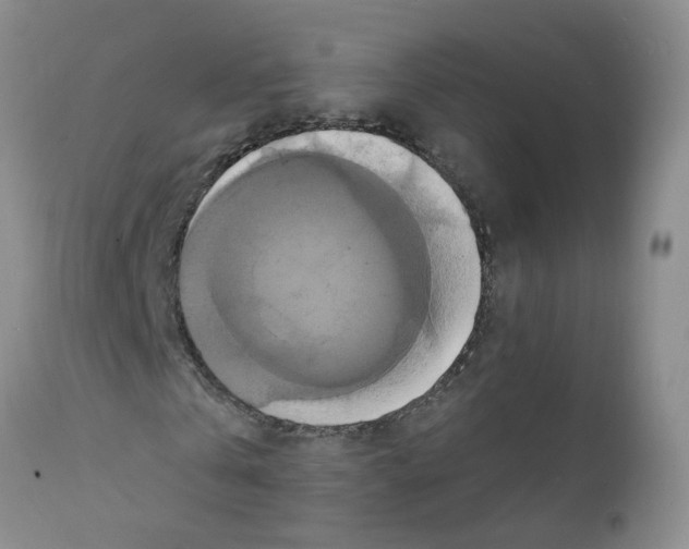 X0000111510769200908251112