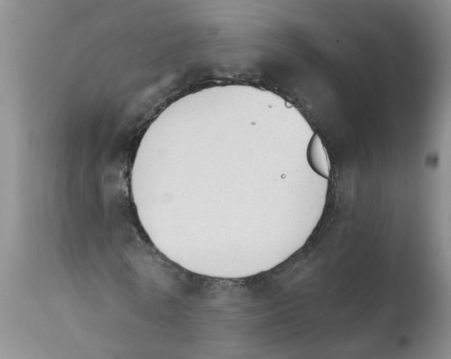 X0000111510770200908251112