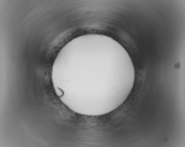 X0000111510774200908251112