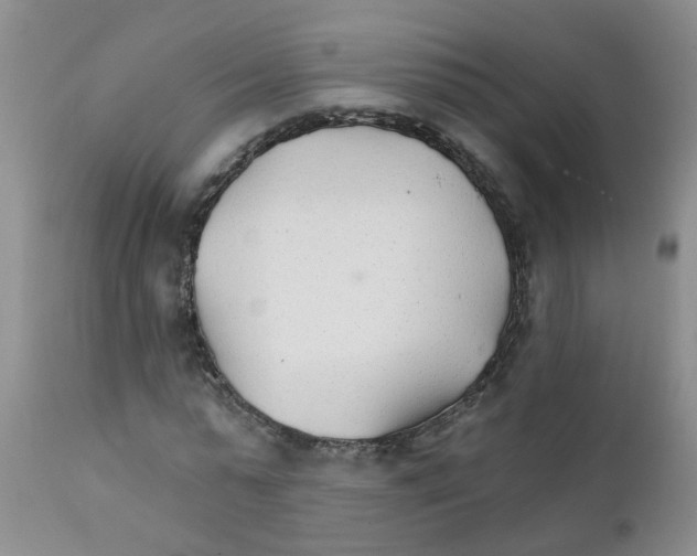 X0000111510775200908251112