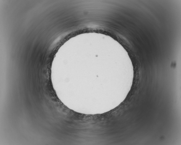 X0000111510776200908251112
