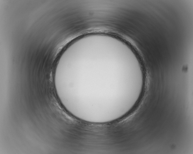 X0000111510778200908251112