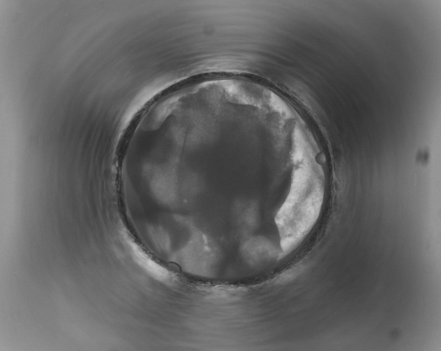 X0000111510779200908251112