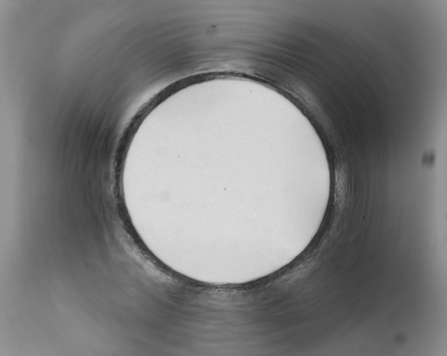 X0000111510780200908251112