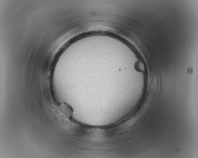X0000111510783200908251112