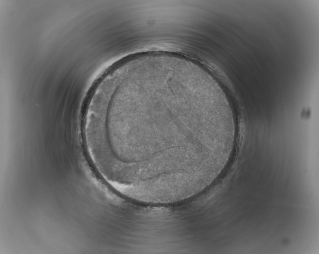 X0000111510784200908251112
