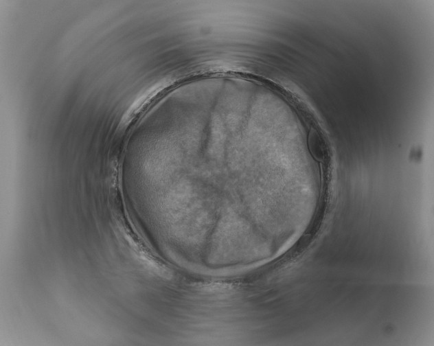 X0000111510785200908251112