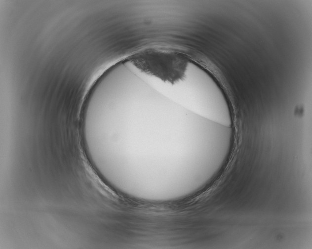 X0000111510787200908251112