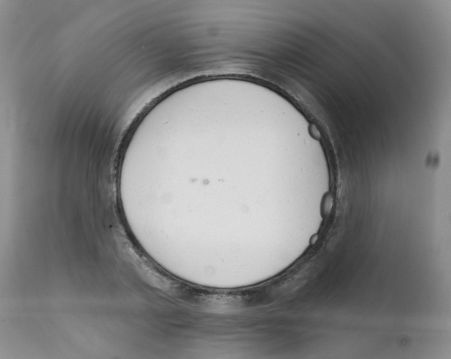 X0000111510789200908251112