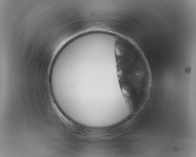 X0000111510791200908251112