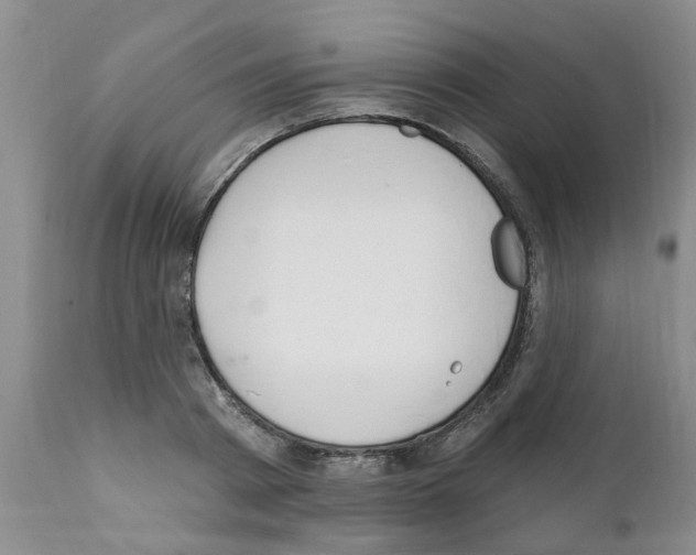 X0000111510793200908251112