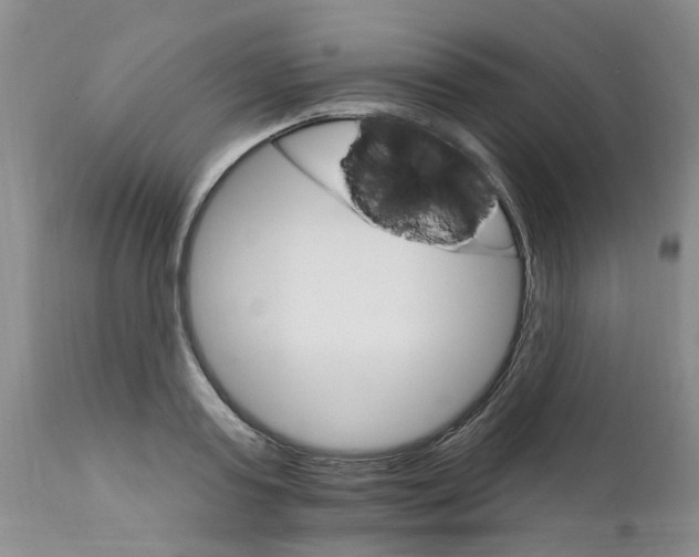 X0000111510795200908251111