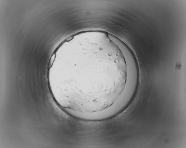X0000111510797200908251111