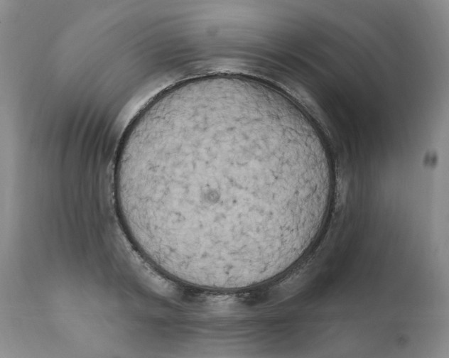 X0000111510798200908251111