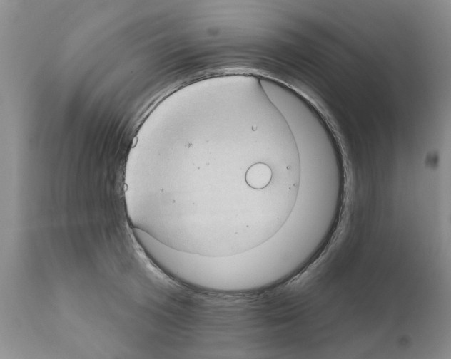 X0000111510801200908251111