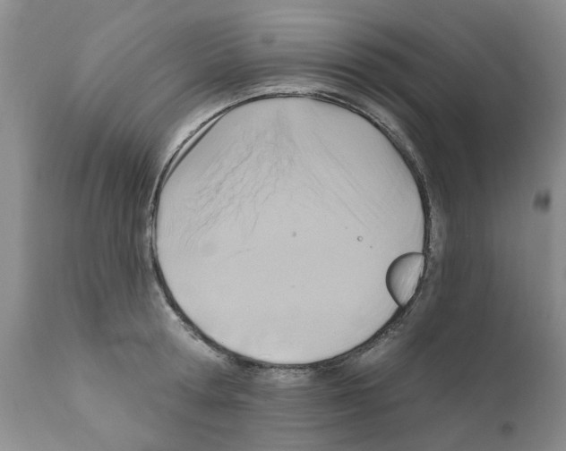 X0000111510802200908251111