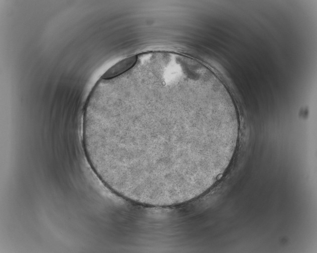 X0000111510804200908251111