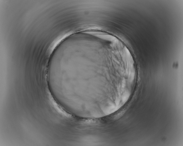 X0000111510806200908251111