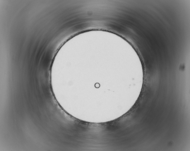 X0000111510807200908251111