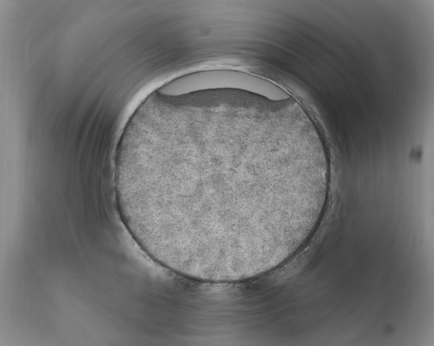 X0000111510808200908251111