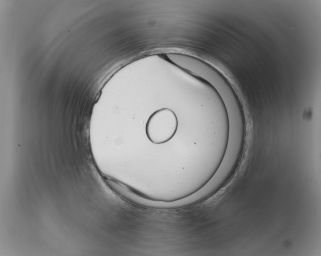 X0000111510809200908251111